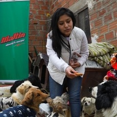 CBN y su marca Maltín donan insumos y materiales a cuatro albergues para mascotas