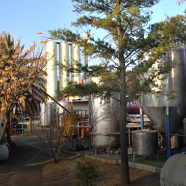 Cervecería Tarija